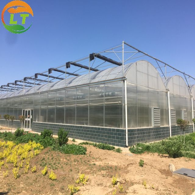 Commercial Greenhouse Industrial Hydroponic Greenhouse Systems