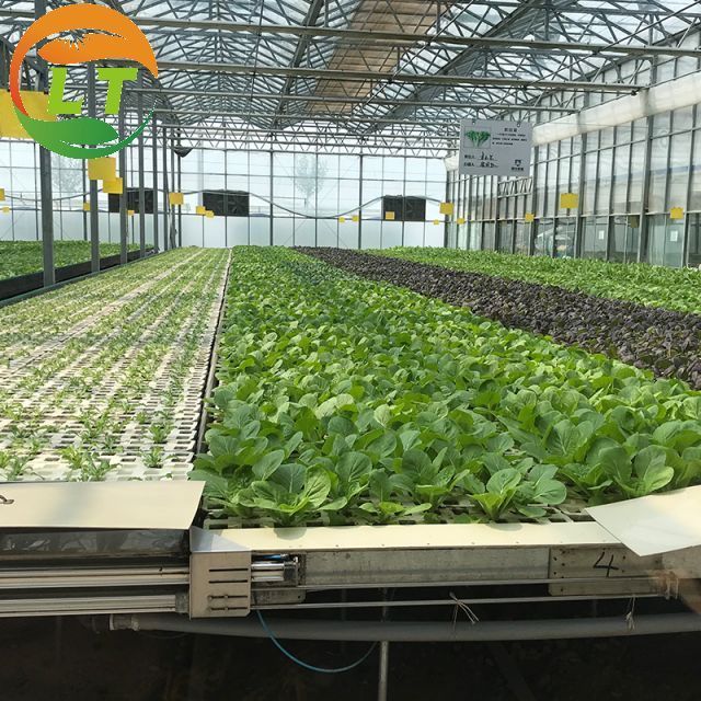 Soilless culture multi-span glass greenhouse for sales