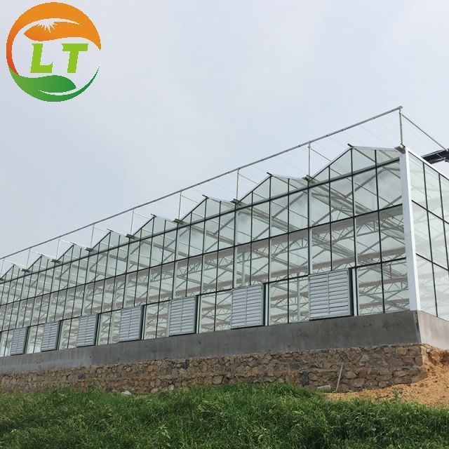 Soilless culture multi-span glass greenhouse for sales