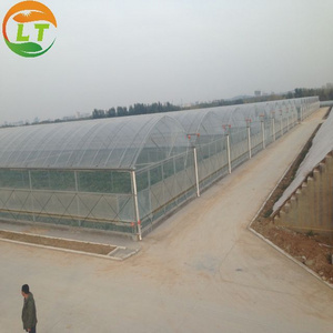 cheapest price commercial used multi span greenhouse for sale