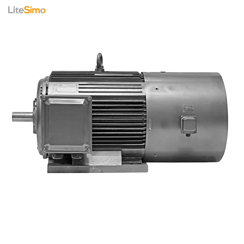 IP55 Frequency Speed Control 3 Phase Ac Induction Motor 3KW for Electric Vehicle