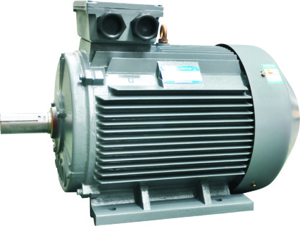 New Engine High Efficiency Three - Phase Asynchronous Motor YE2-80M1-2 Electric Motor