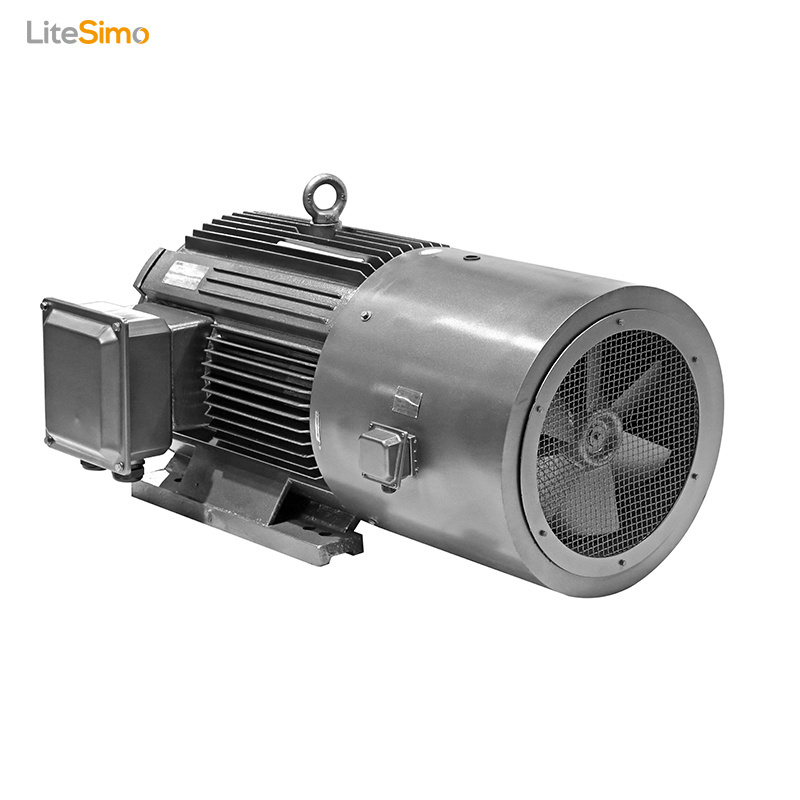 IP55 Frequency Speed Control 3 Phase Ac Induction Motor 3KW for Electric Vehicle