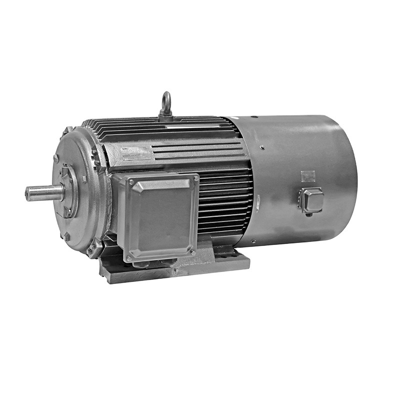 IP55 Frequency Speed Control 3 Phase Ac Induction Motor 3KW for Electric Vehicle