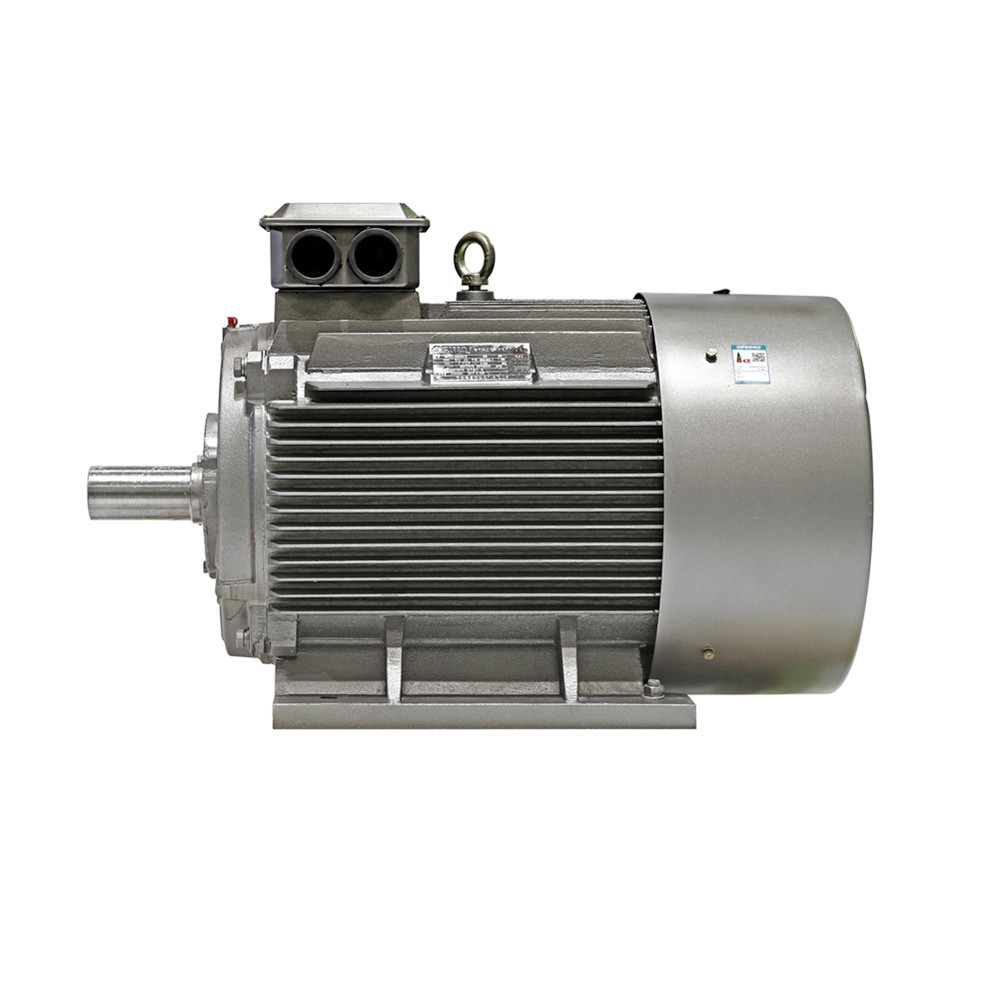 Low Voltage 3 Phase 2 Pole 55 Kw 41.25HP 2970RPM YE3 IP55 Asynchronous Induction Industrial Ac Pump Blower 440v Electric Motor