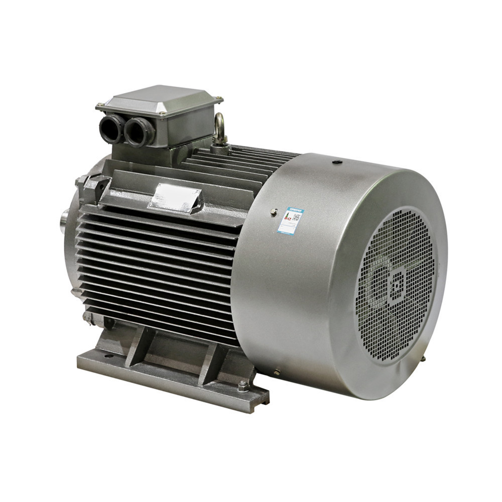 Low Voltage 3 Phase 2 Pole 55 Kw 41.25HP 2970RPM YE3 IP55 Asynchronous Induction Industrial Ac Pump Blower 440v Electric Motor