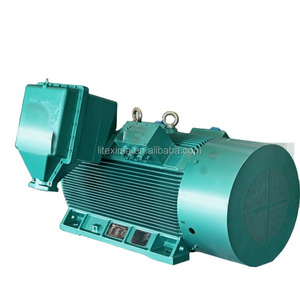 Factory Supply Best Quality 3kv 6p 800kw 3 Phase Electric Motor for Crane