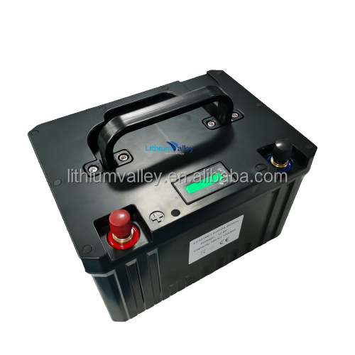 48V Lithium ion Battery 12V deep cycle battery 48V 24Ah LiFEPO4 48V 100AH Golf Cart Battery 12V 100AH bateria solar