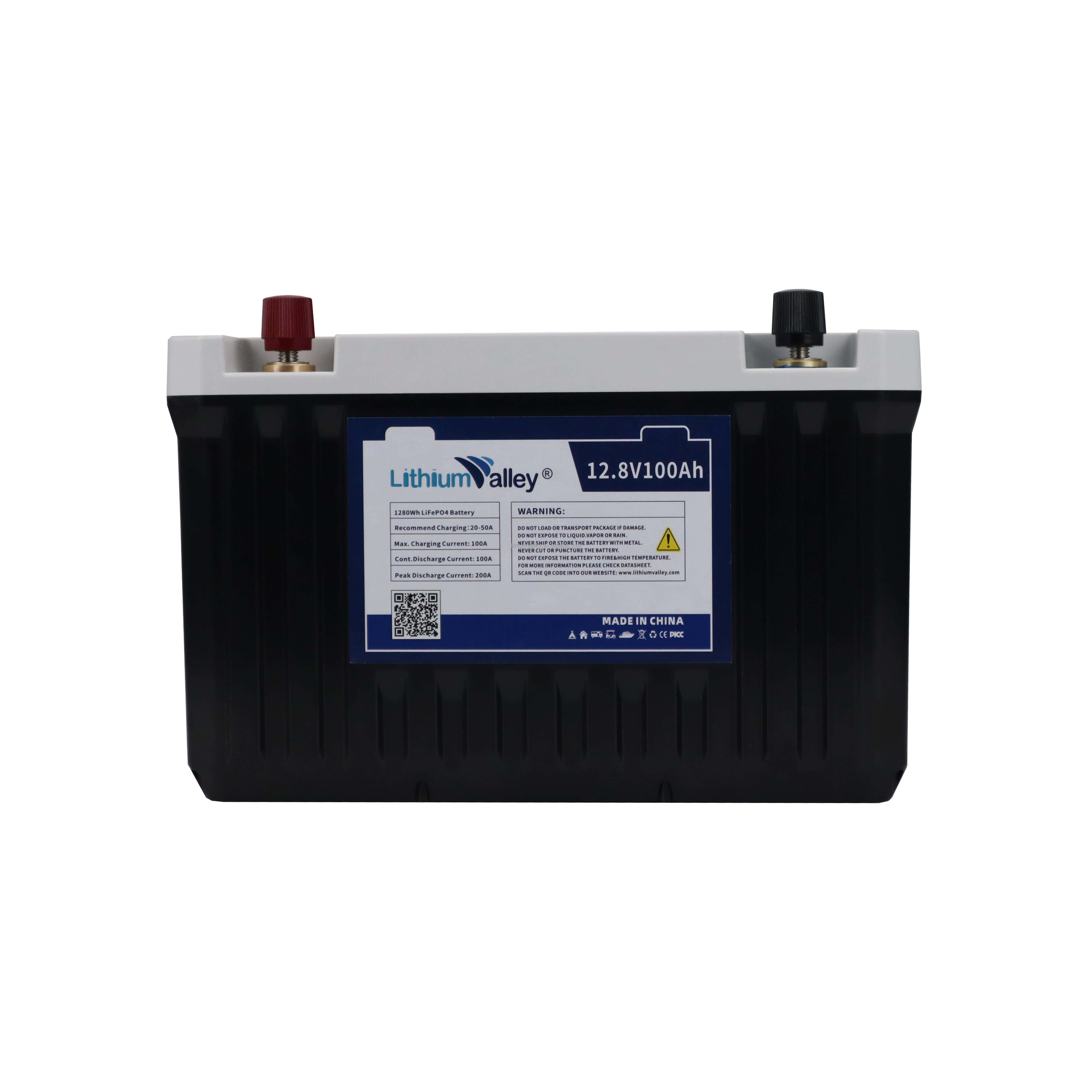 48V Lithium ion Battery 12V deep cycle battery 48V 24Ah LiFEPO4 48V 100AH Golf Cart Battery 12V 100AH bateria solar