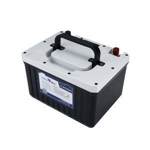 48V Lithium ion Battery 12V deep cycle battery 48V 24Ah LiFEPO4 48V 100AH Golf Cart Battery 12V 100AH bateria solar