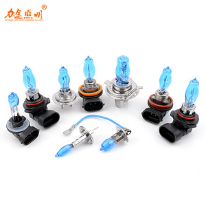 Factory H4 H7 H1 Halogen Bulb 55W Car H11 9005 9006 H3 Halogen Front Headlight Bulb 12V Auto Fog Lamp 6000K