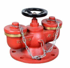 Professional Manufacturer Landing Pillar Fire Hydrant System