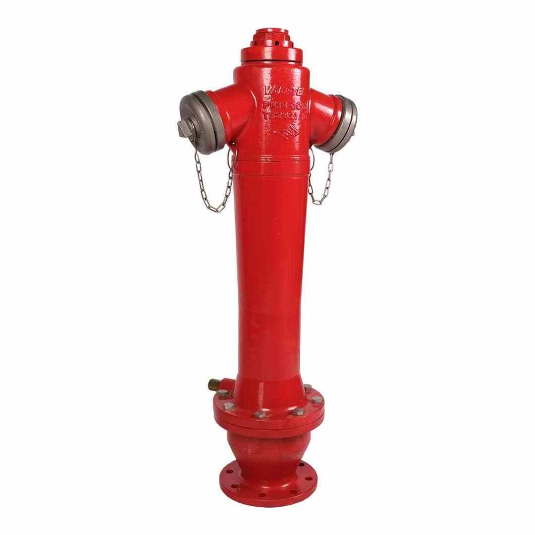 Water Supply Ground Outdoor Hydrant Ductile Iron Body Two Way Wet Type Fire Hydrant Ground Pillar Hydrant