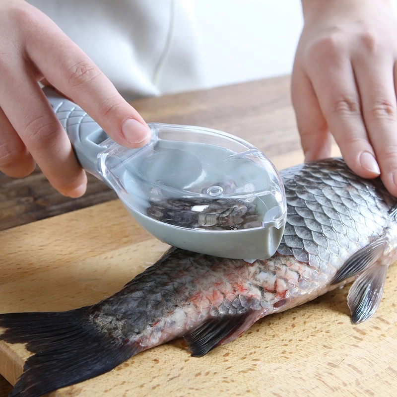 Fish skin and scale scraper, quick disassembly of fish knife, cleaning of peeling scraper fish