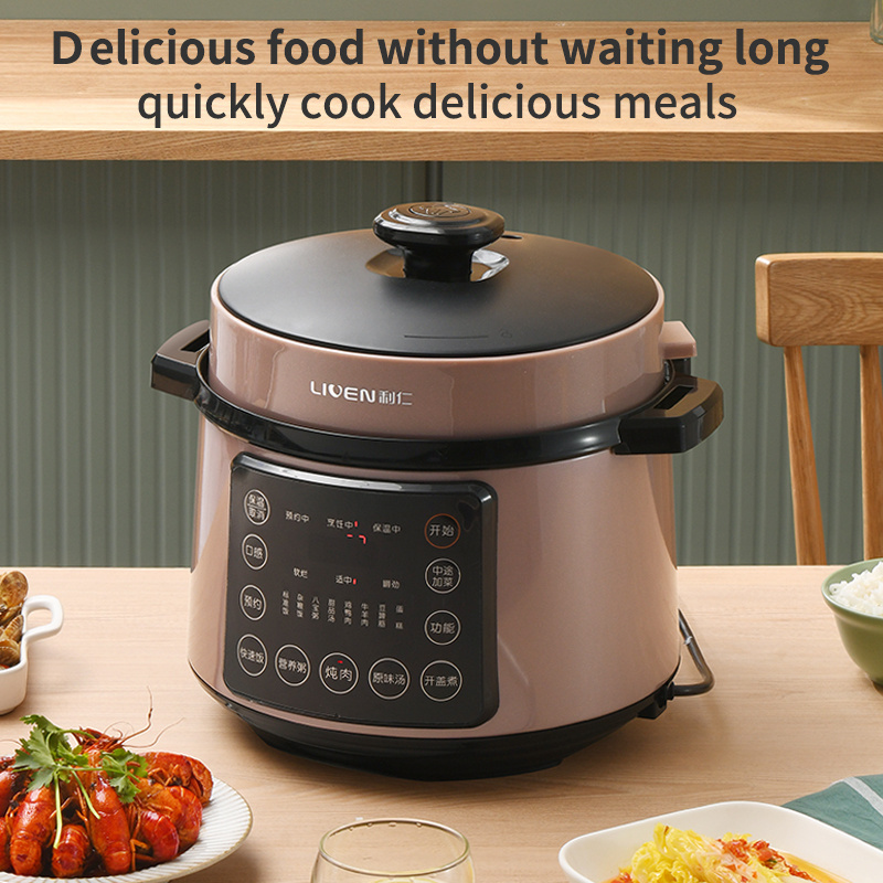 Electric Pressure Cooker Programmable 5 Quart Non-Stick Pot 12 in 1 Programmable Multipot Cooker with bonus Stainless Steel P