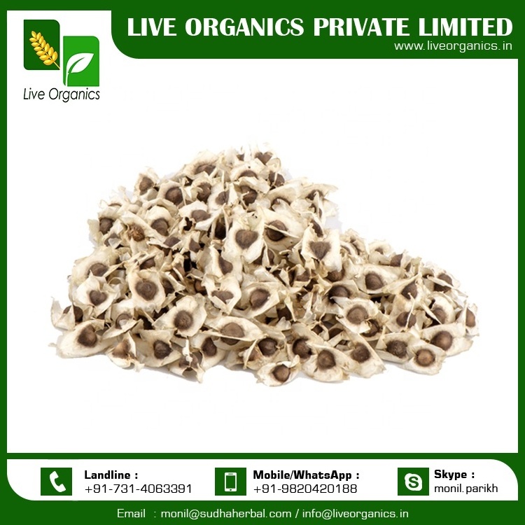 Moringa Oleifera Dried Seeds with Wings