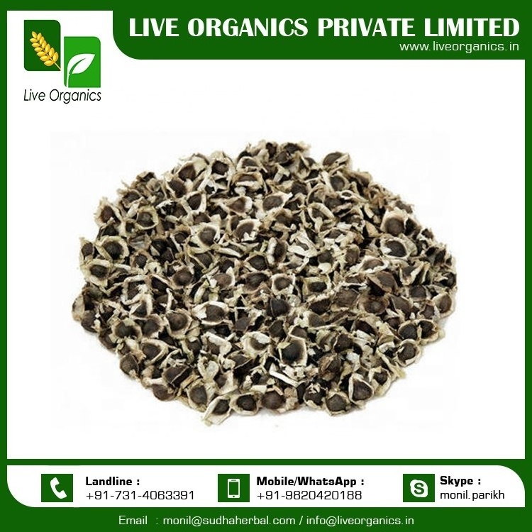 Moringa Oleifera Dried Seeds with Wings