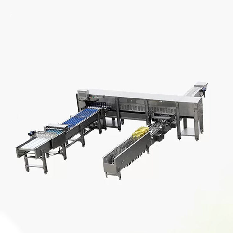 5000pcs/h egg grading machine automatic egg sorting packing machine for farming