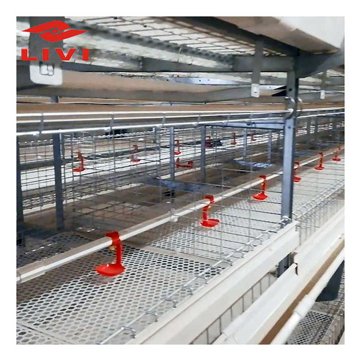 Automatic Pullet Chicken Cage Raising System Poultry Farm Equipment for Small Chick Large Farm