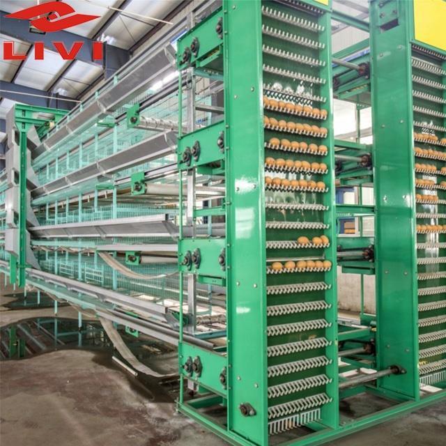 Poultry Farming Equipment Layer Chicken Cage for Sale in Malaysia Qatar Uae Thailand Zimbabwe Dubai Negria Turkey