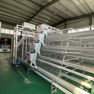 Factory Price Egg Laying A Type 3 Tiers Poultry Chicken Cage for Layer Poultry Farm