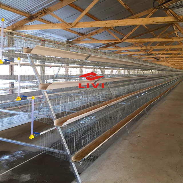 Zhengzhou LIVI A type galvanized chicken cages for laying hen poultry cage Chicken Layer Cage Used In Poultry Farm