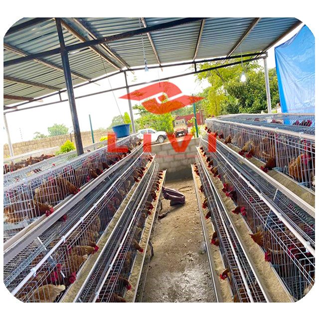 Zhengzhou LIVI A type galvanized chicken cages for laying hen poultry cage Chicken Layer Cage Used In Poultry Farm