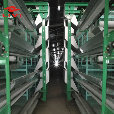 H Type Poultry Breeder Layer Rooster Chicken Broiler Cages