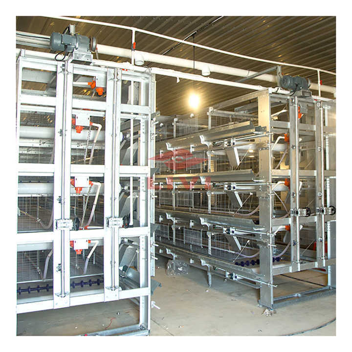 Automatic Pullet Chicken Cage Raising System Poultry Farm Equipment for Small Chick Large Farm