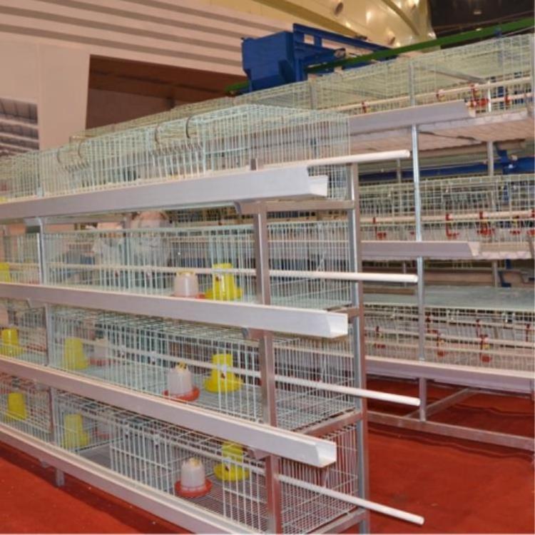 Poultry Farming Equipment Layer Chicken Cage for Sale in Malaysia Qatar Uae Thailand Zimbabwe Dubai Negria Turkey