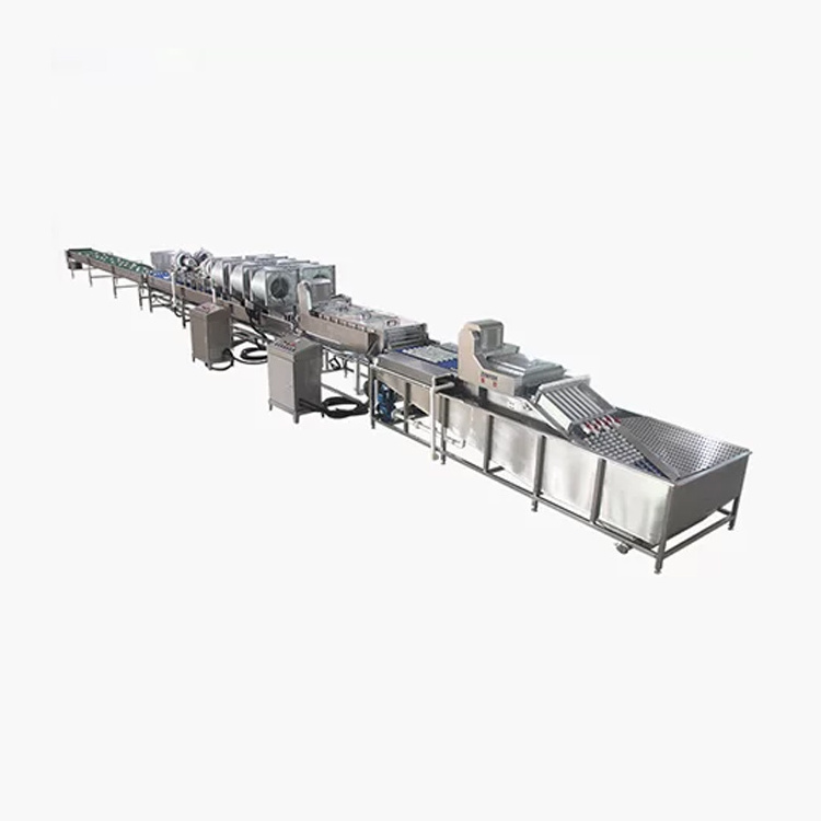 5000pcs/h egg grading machine automatic egg sorting packing machine for farming