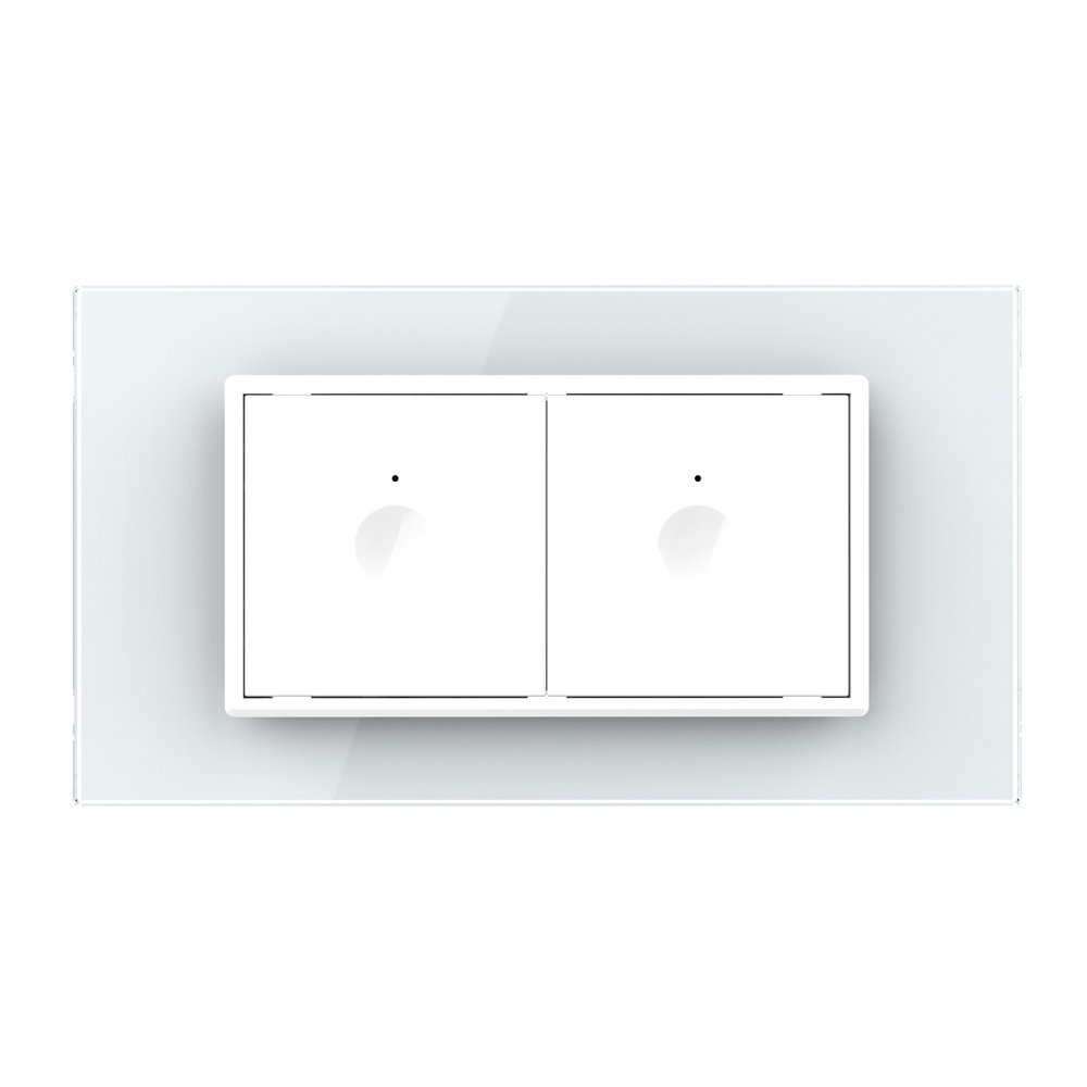 Livolo Double 1 Gang 1 Way Switching Power Vintage Light Smart Switch