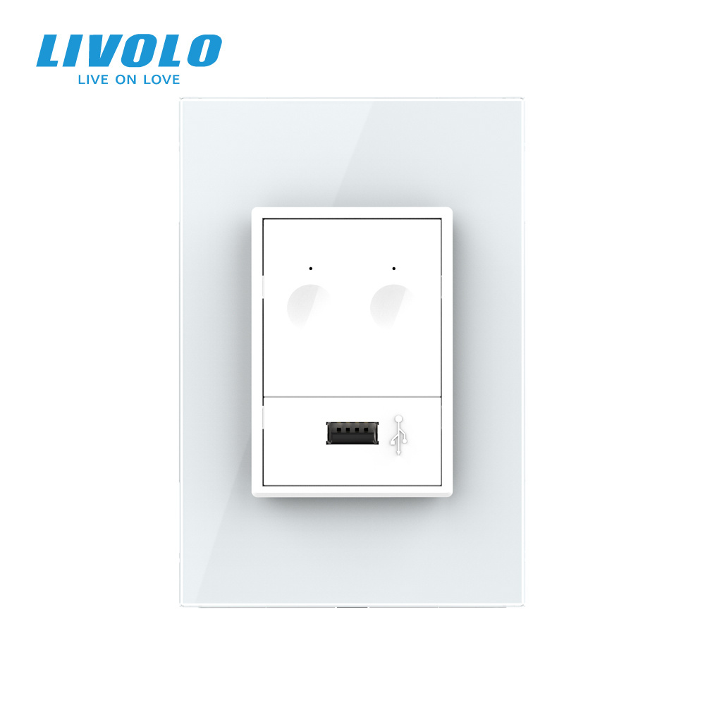 Livolo US/AU Standard Luxurious 2 gang 2 way Switch With USB port, Pearl Crystal Glass,without logo