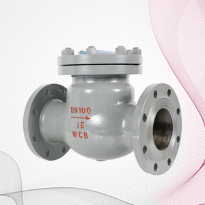 Swing Check Valve Pn 16 Stainless Steel valve swing check ANSI WCB Swing Check Valve