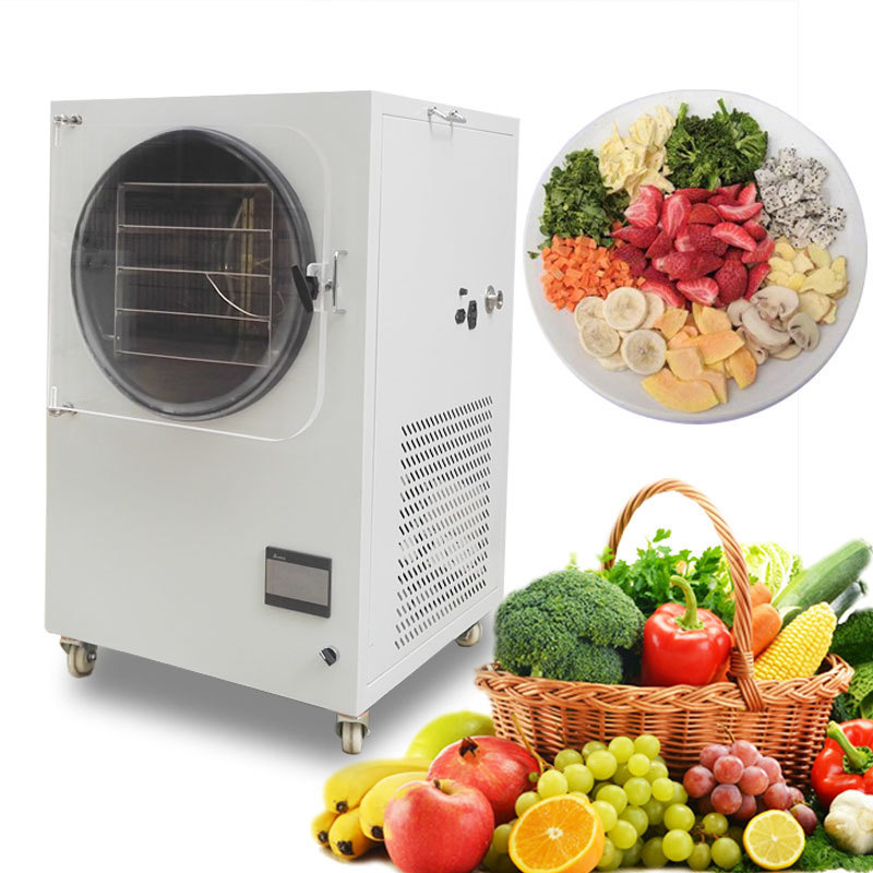 High Quality and low Price CE 4Kg 5kg 6Kg Small Freeze Dryer Mini Vacuum Liofilizador Lyophilizer for Lab freeze dryer for home