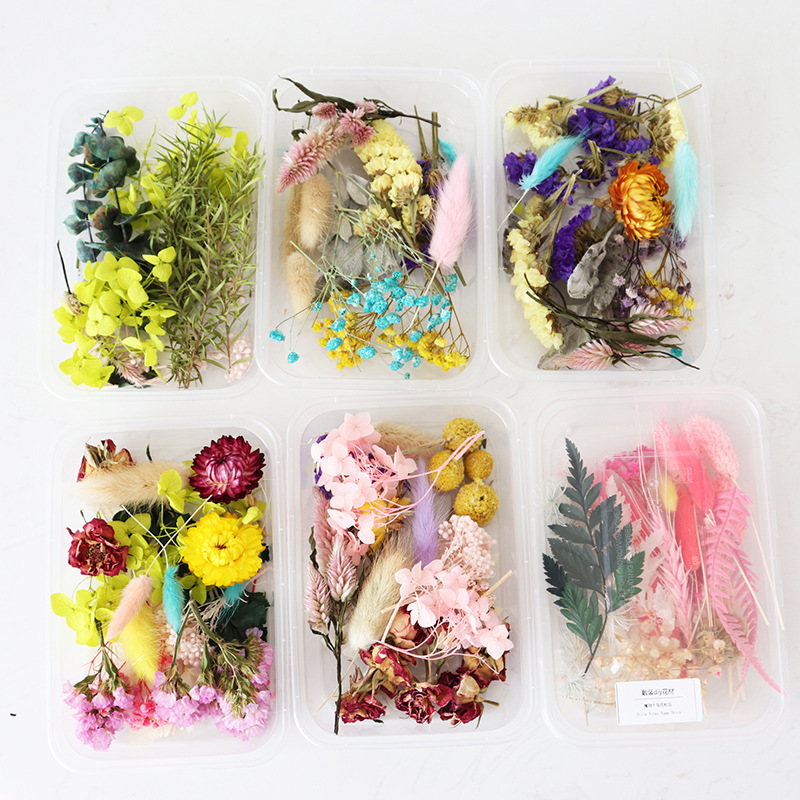 DREA 2023 new dried flowers plants resin mixed flower box DIY dried flowers for candles