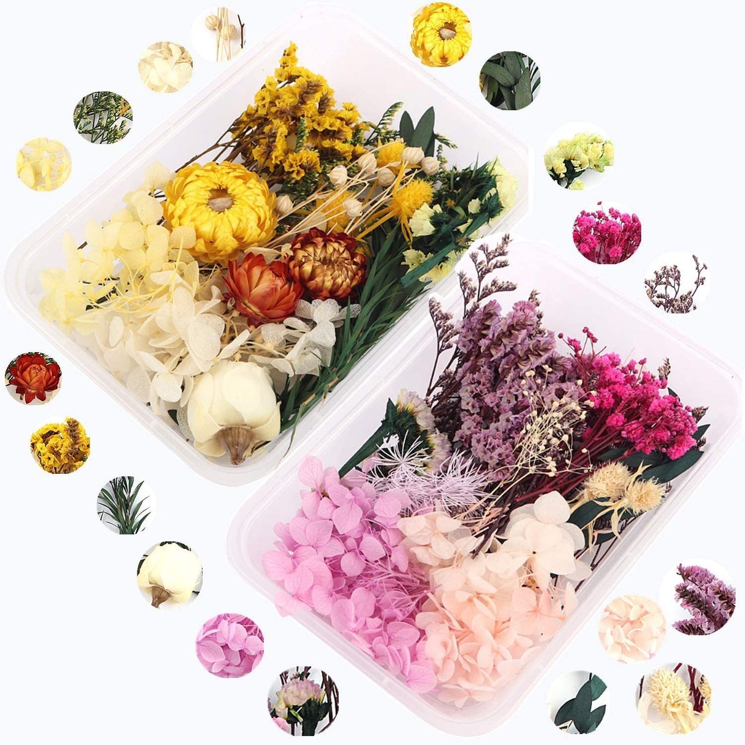 DREA 2023 new dried flowers plants resin mixed flower box DIY dried flowers for candles