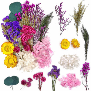 DREA 2023 new dried flowers plants resin mixed flower box DIY dried flowers for candles