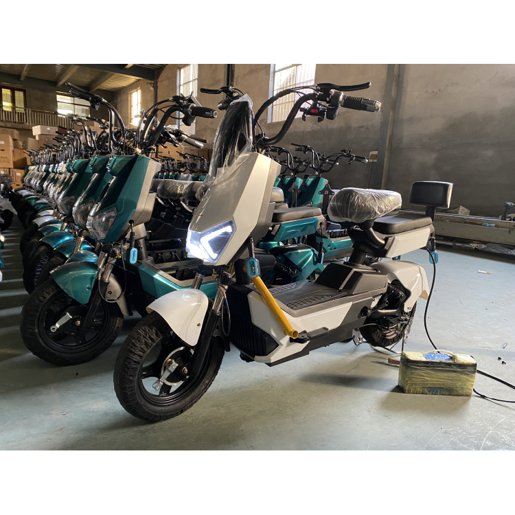 High-power Hot Sale Popular Design Electric Bicycle multifunctional City two-wheeled two-Seater long range Electric Adult Bike