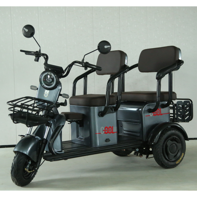 Y3-HL 3 Wheel Electric Scooter Trike Moto 3 Wheels Three Wheel e Bike Enclosed Electric Tricycle With Roof