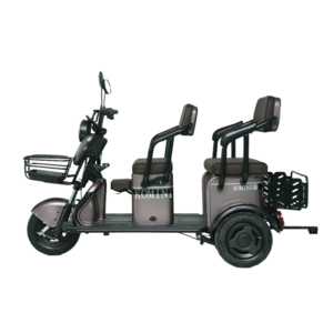 Easy-to-Operate 48V Brushless 3-Wheel Electric Tricycle 800W Power Rickshaw with Motorized Cargo Features Solar Adult Scooter