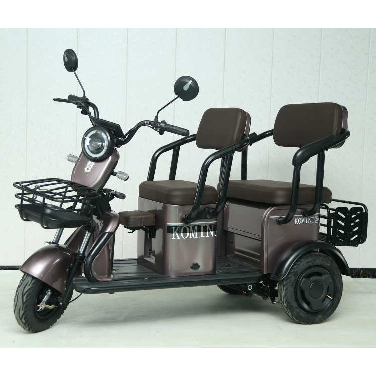 Y3-HL 3 Wheel Electric Scooter Trike Moto 3 Wheels Three Wheel e Bike Enclosed Electric Tricycle With Roof