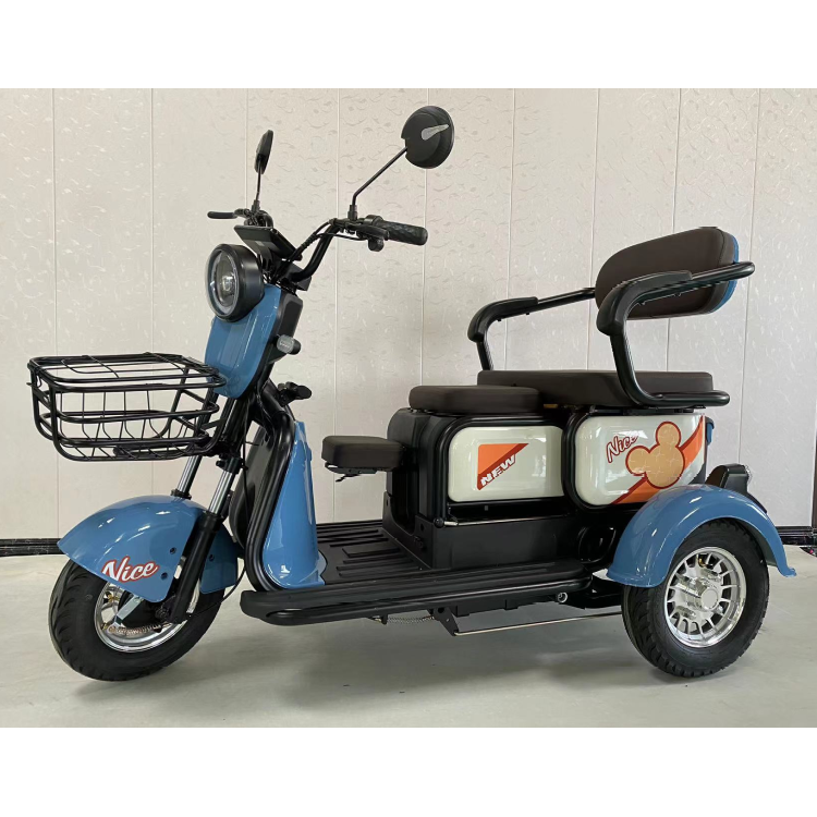 Y3-V9 Tricycle Electric Tricycle for Sale Adult Passenger Car 3 Wheel Foldable Charge Power Mobility Scooter Three Wheel 12V