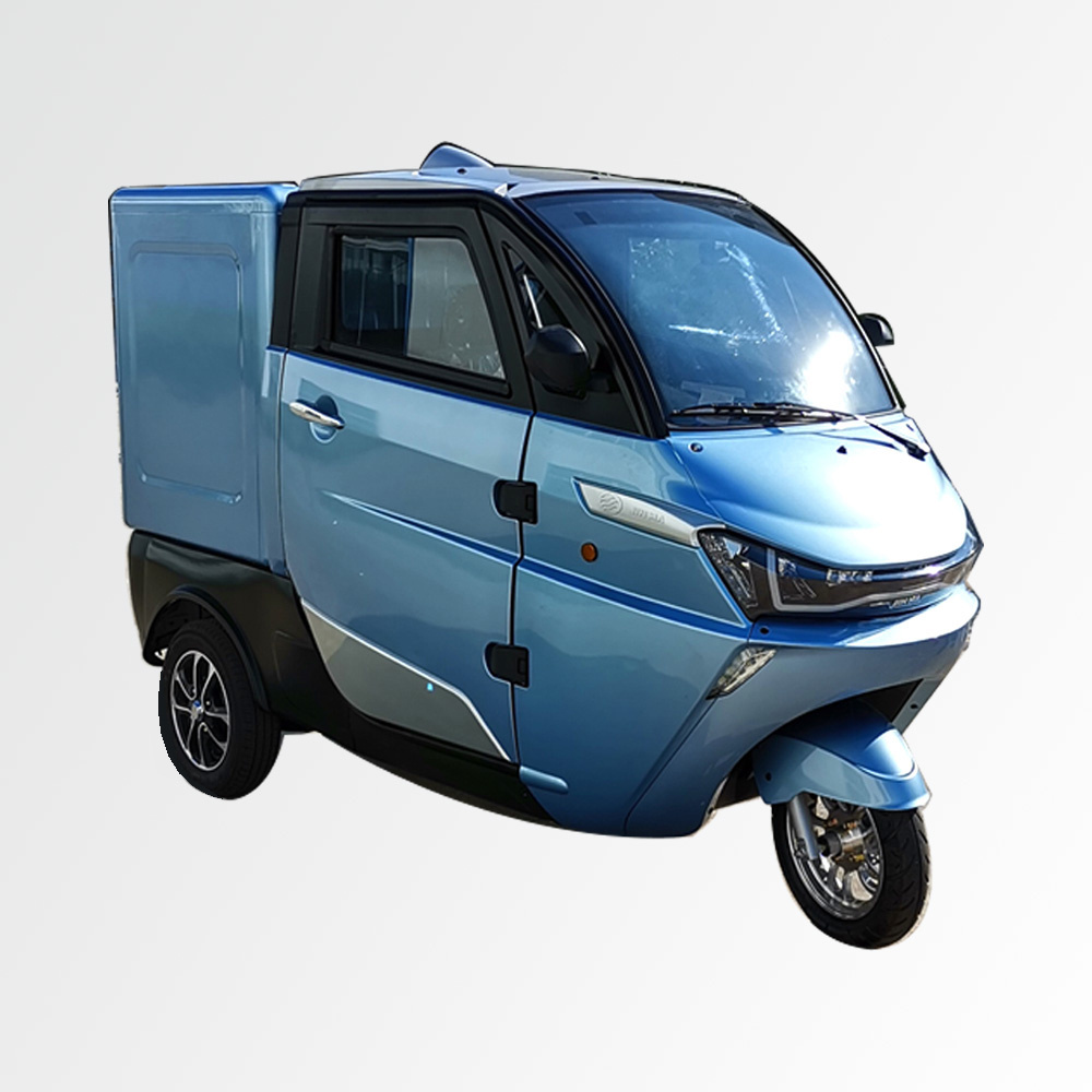 EEC Approval New Adult Three Wheels Van Electric Motorcycle for Sale in Italy 3 Wheel Electric Cargo Vehicle AC Motor Motorized