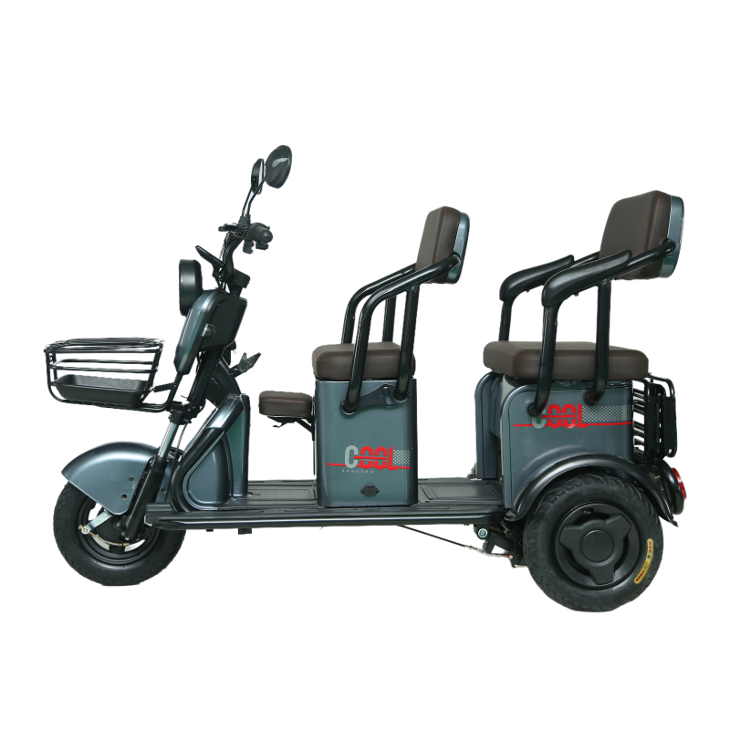 Easy-to-Operate 48V Brushless 3-Wheel Electric Tricycle 800W Power Rickshaw with Motorized Cargo Features Solar Adult Scooter