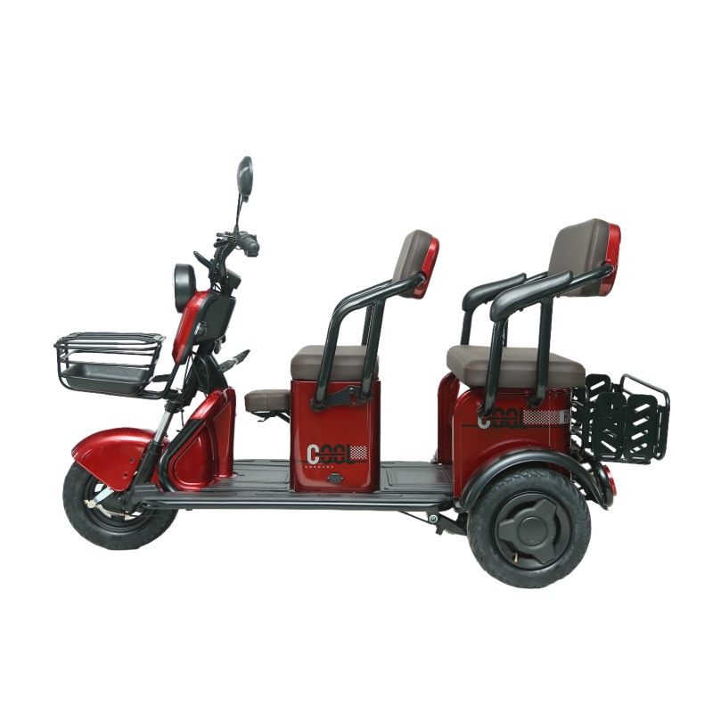 Easy-to-Operate 48V Brushless 3-Wheel Electric Tricycle 800W Power Rickshaw with Motorized Cargo Features Solar Adult Scooter