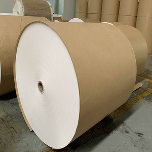 Lizheng Printing Material Pp Eco Solvent Synthetic Paper Roll Poster Pp Film Glossy Pp Synthetic Paper