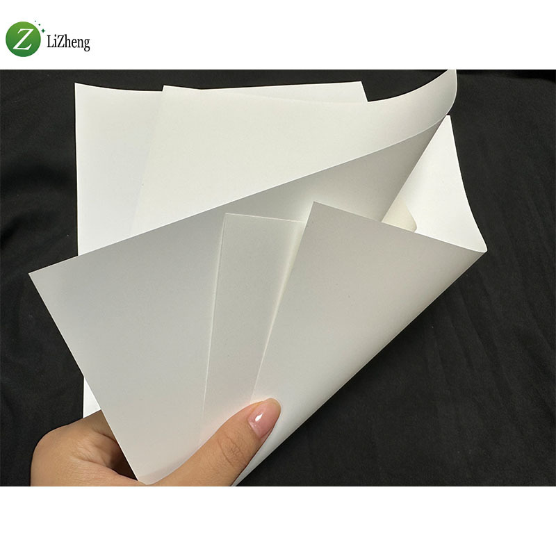 Lizheng Matte Eco Solvent Pp Synthetic Paper Polypropylene Paper For Roll Up Advertising pp synthetic paper