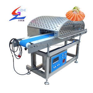 Automatic  Industrial  horizontal fresh meat  chicken breast beef duck fish  salmon slicer cutting machine