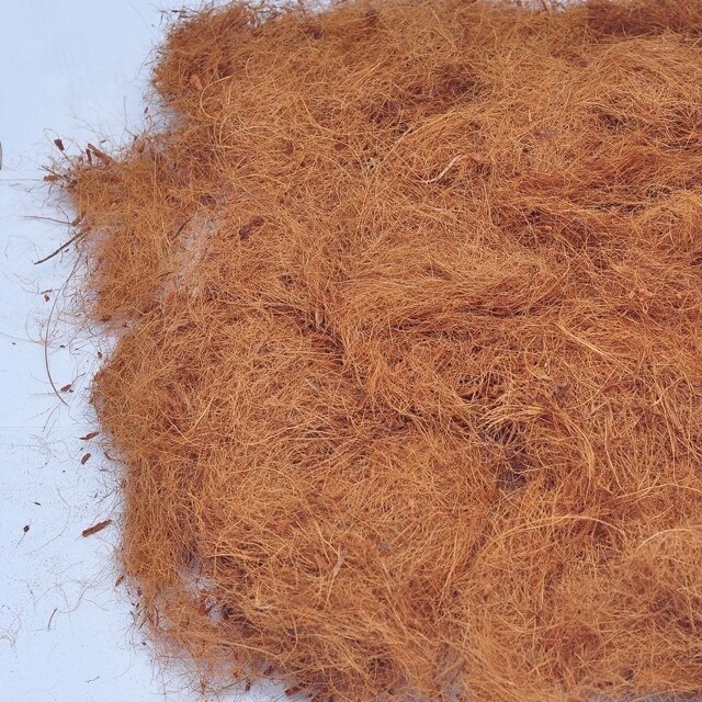 Coir Fiber from Sr Lanka